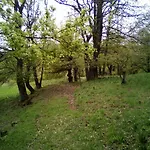 Casa Del Gigi 3* Albareto (Parma)