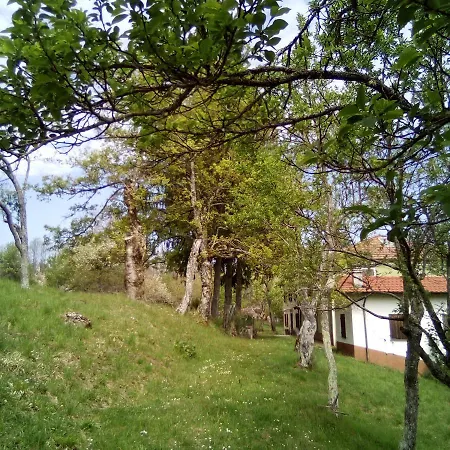 Frühstückspension Casa Del Gigi 3*